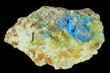 Vibrant Blue Chalcanthite Crystals - Mina Ojuela, Mexico #136843-2